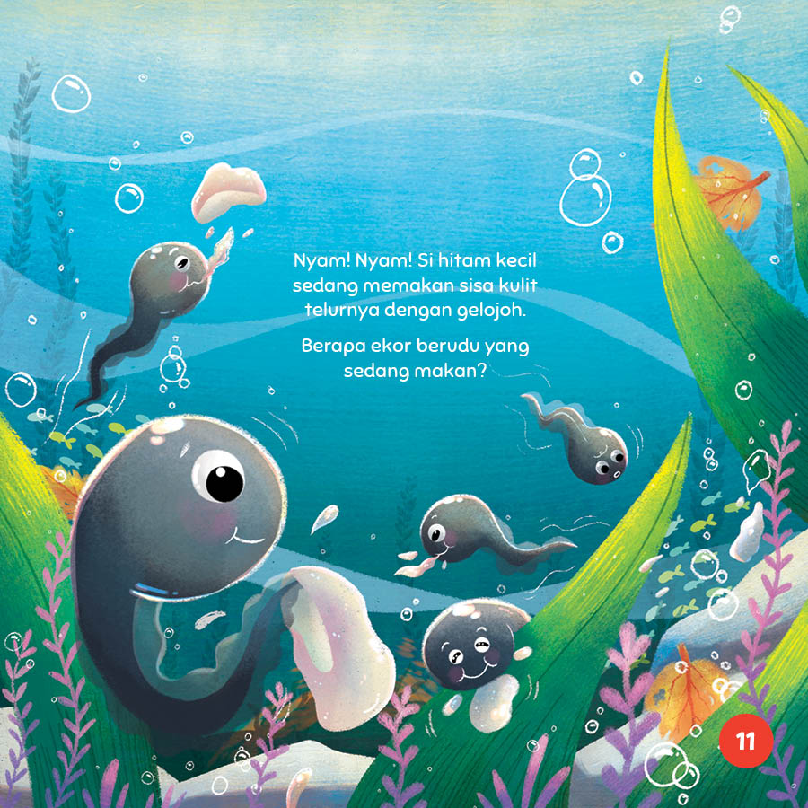 Siri Metamorfosis : Kecipak... Kecipuk... Katak Berenang